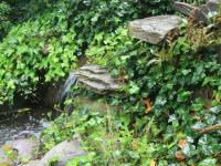natural pond and landscaping detail from Ballard & Mensua