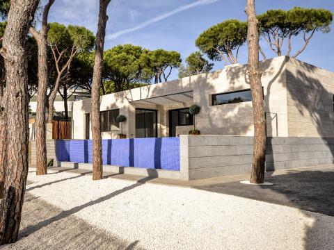 backyard detail with bright blue fence - Ballard & Mensua