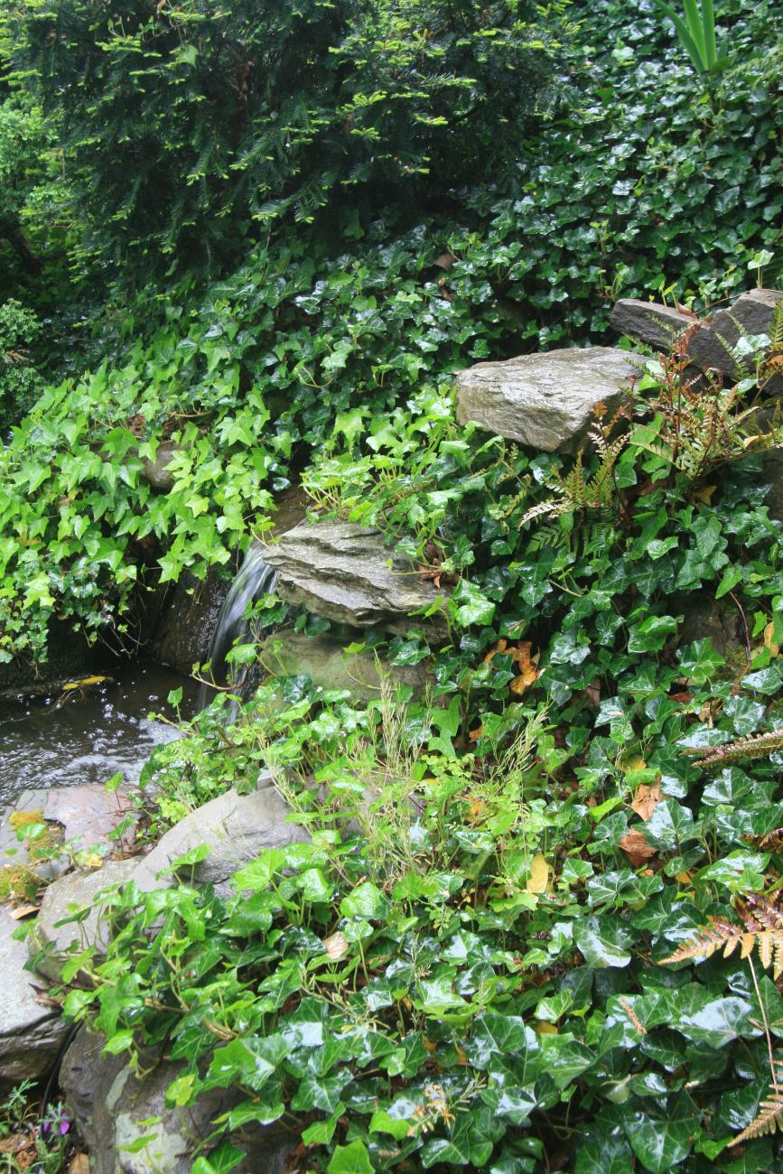 natural pond and landscaping detail from Ballard & Mensua